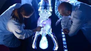 S2030 Our University in 2030 - 2