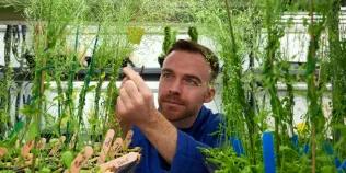 A man in a blue lab coat examines some plants growing in trays.