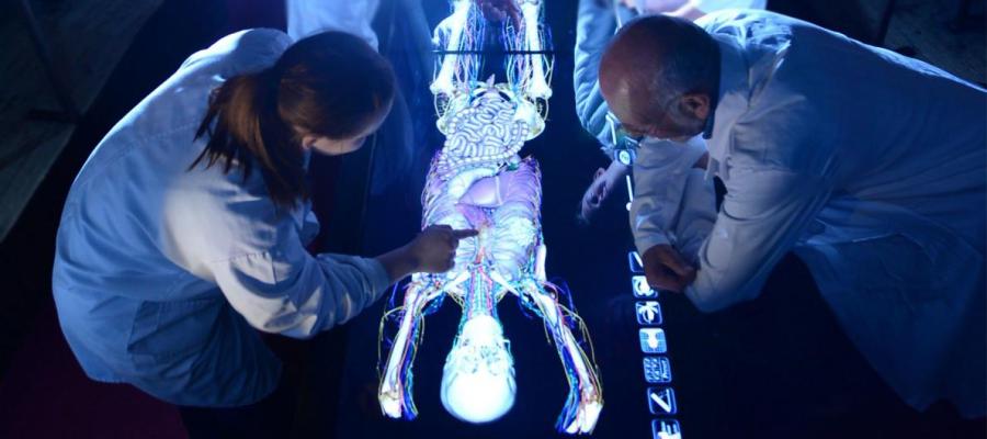 Doctors Looking at Chest Scan on a Wide Digital Screen